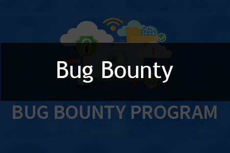 Bug Bounty