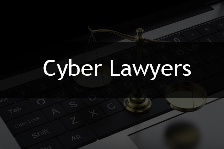 Cyber Laws